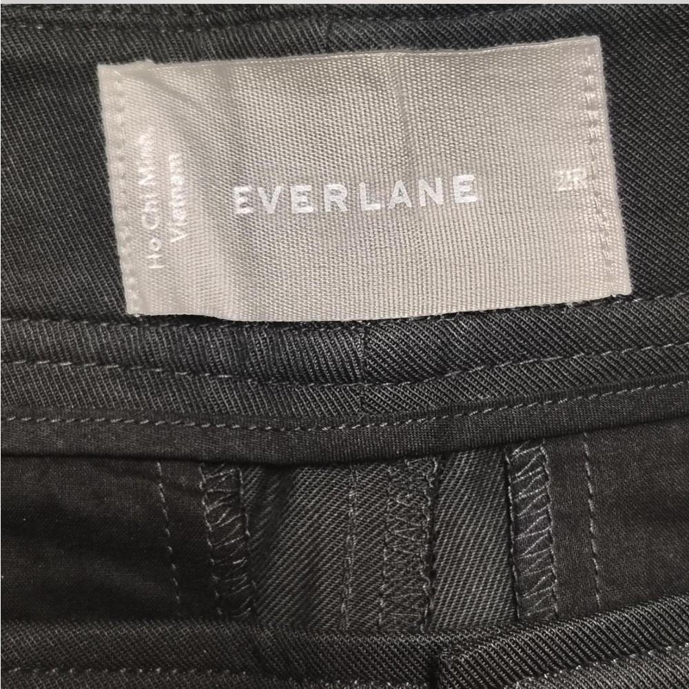 Everlane Draper Pleated Pants in Buttersmooth 2R - Picture 4 of 7